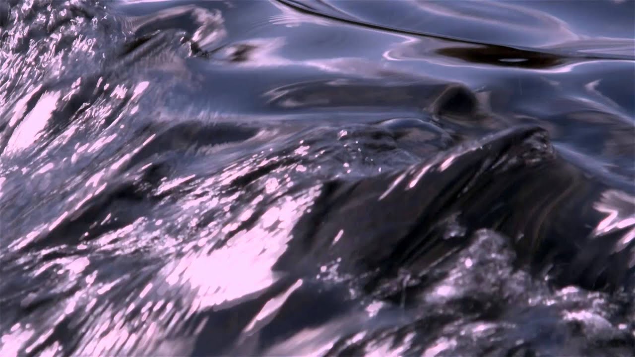 Wisdom Film - Thich Nhat Hanh - 