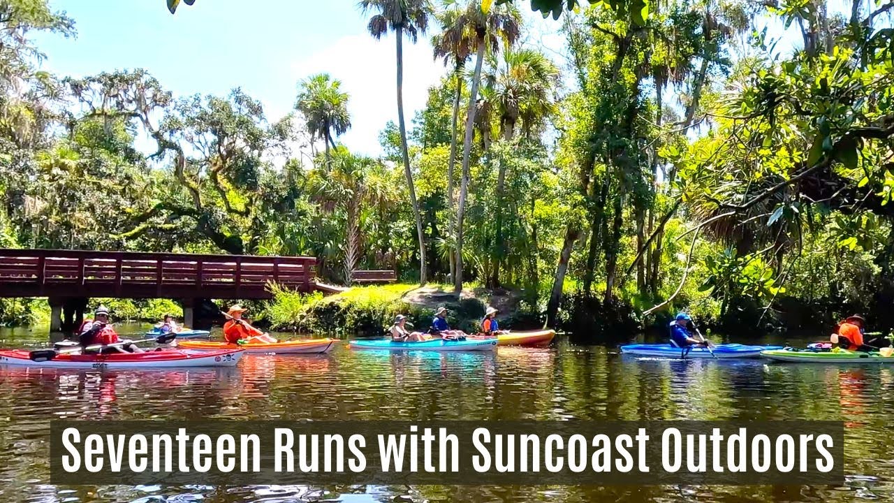 Seventeen Runs - Hillsborough River, with Suncoast Outdoors