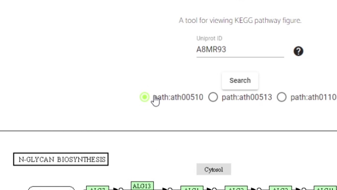 Fatplants - Pathway Viewer