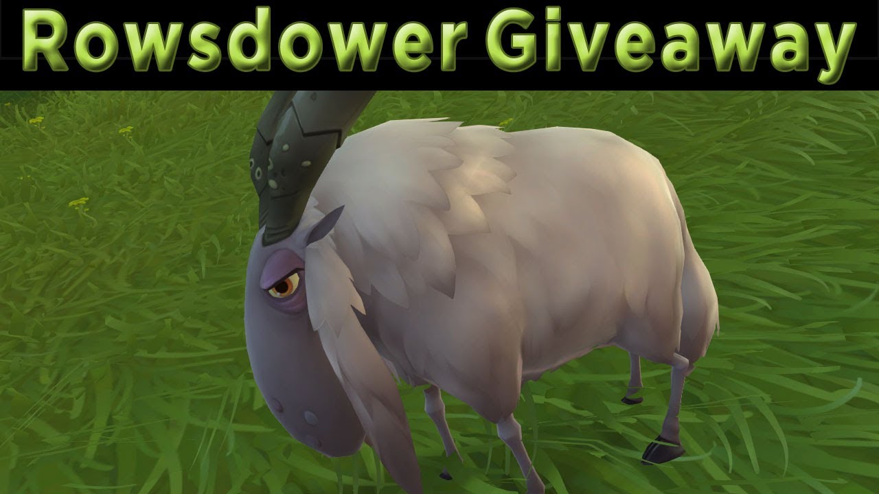 The Bog Vlog: PAX East Swag Rowsdower Giveaway!