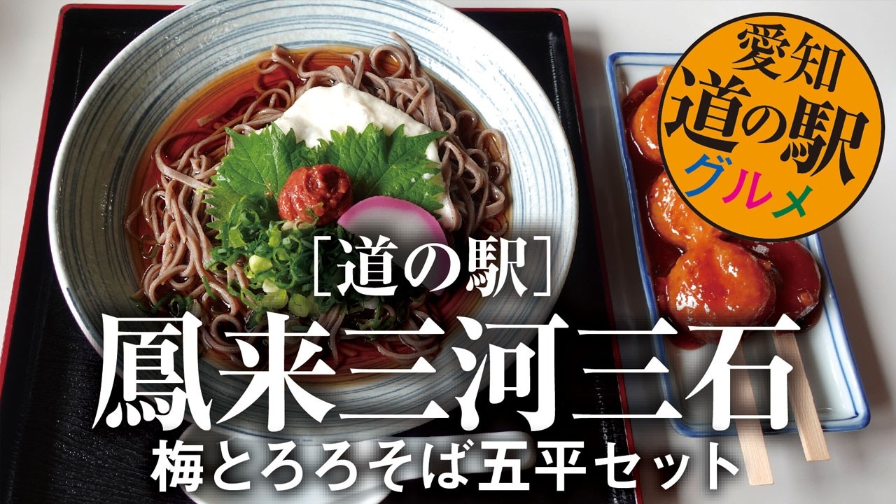 道の駅 鳳来三河三石【梅とろろそば五平セット】愛知県新城市/道の駅グルメ Roadside station gourmand