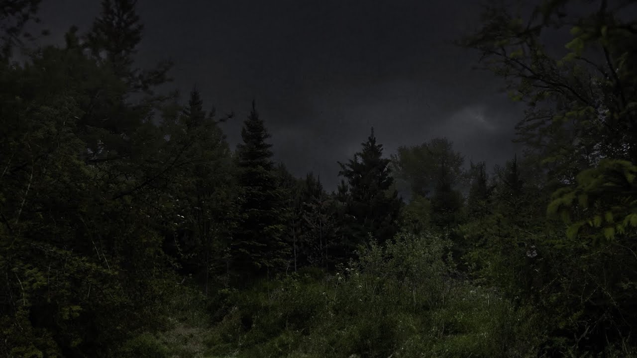 Mountain Forest Thunderstorm | Alone on Lost Peak | Calm Before the Storm | 3 HOURS