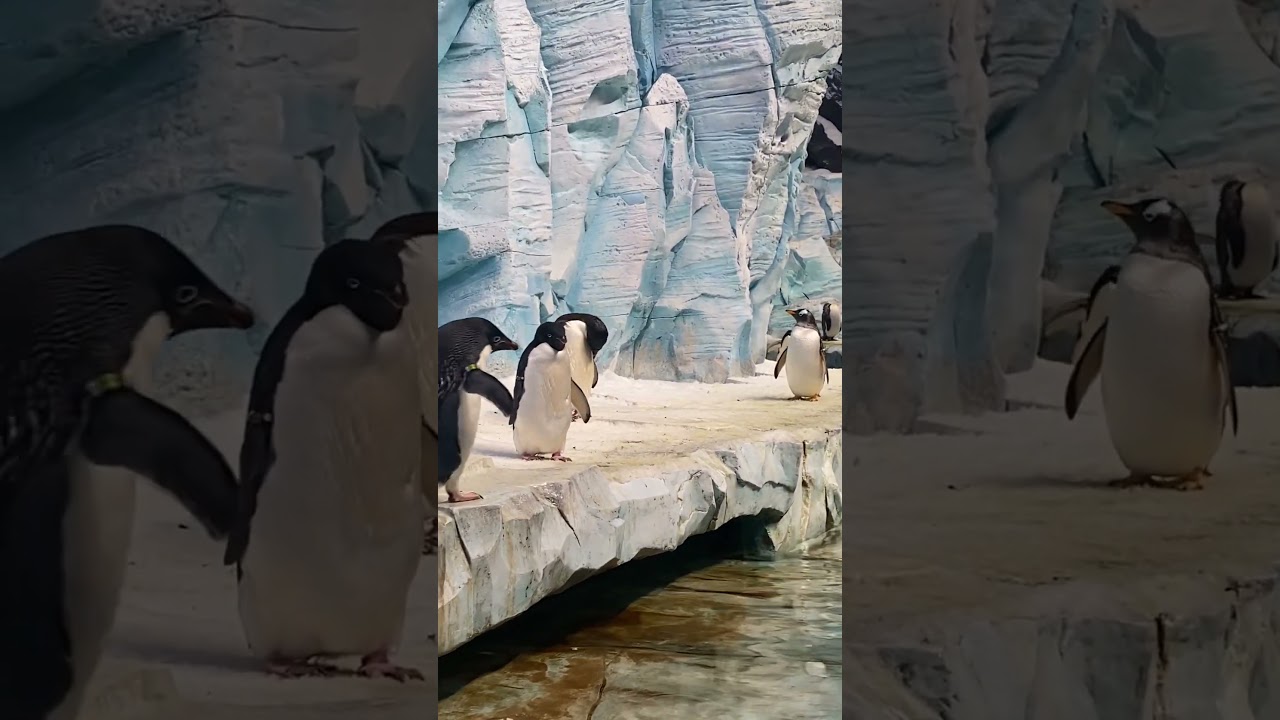 - freezing world #youtube #viral #viralvideo #youtubeshorts #youtuber
