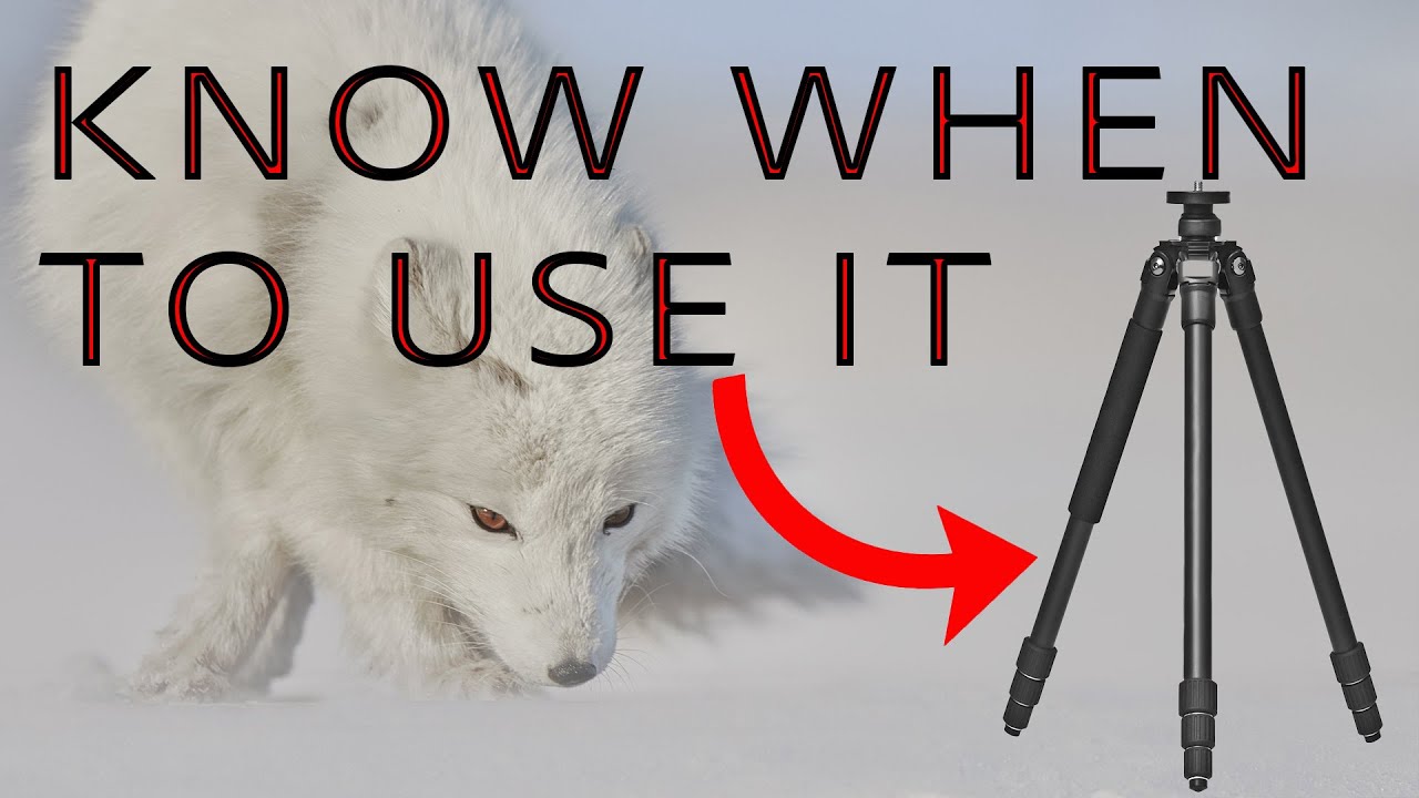 No Tripod? How to Shoot Stunning Photos Handheld