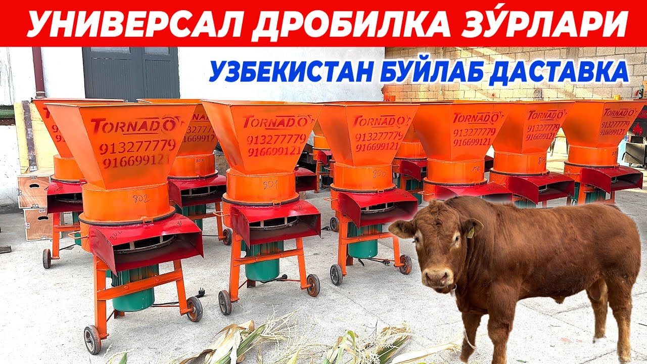 УНИВЕРСАЛ ДРОБИЛКА ЗУ́РЛАРИ ХУ́Л КУРУК ТАНЛАМАЙДИ ТОРНАДО УЗБЕКИСТАН БУЙЛАБ ДАСТАВКА !! ХОРАЗМ БОЗОР