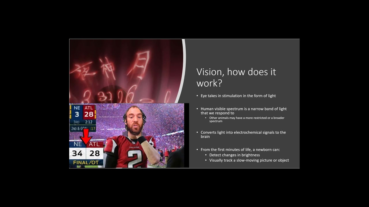 Chapter 6- Sensation, Perception, and Action
