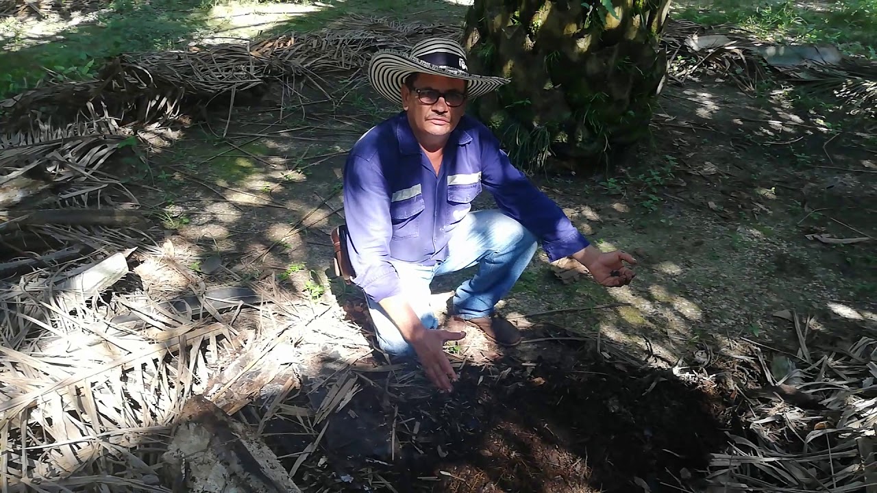 Finca Parranda Seca 