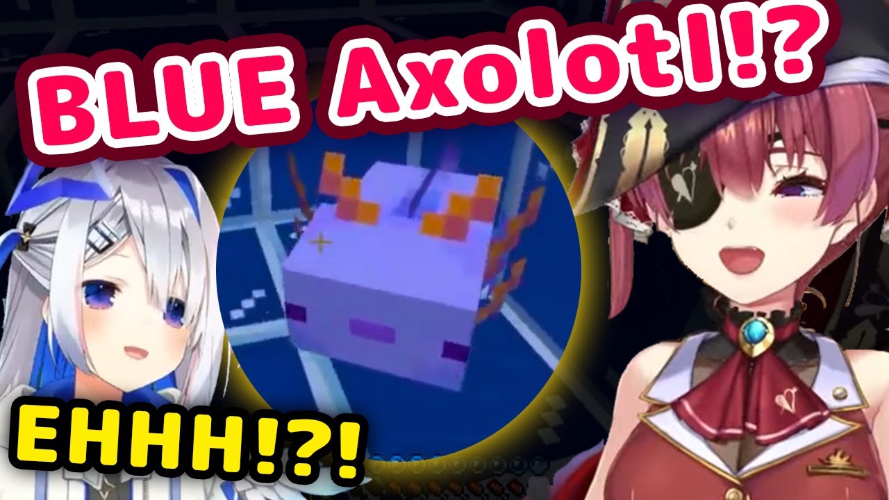 Senchou Gets Rare Blue Axolotl Before Kanata Does and Shows Her Live On Stream【ENG Sub/Hololive】