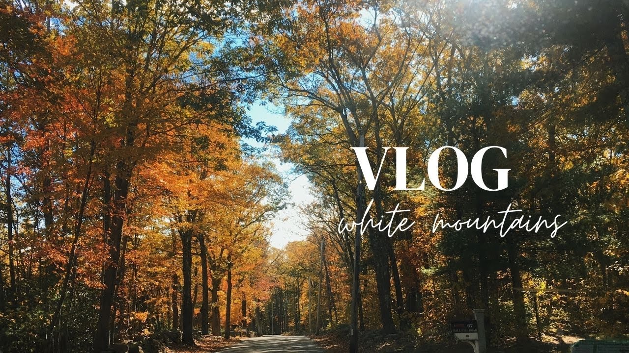Travel vlog | 美國白山國家森林｜秋季賞楓 White Mountains Fall Foliageღ