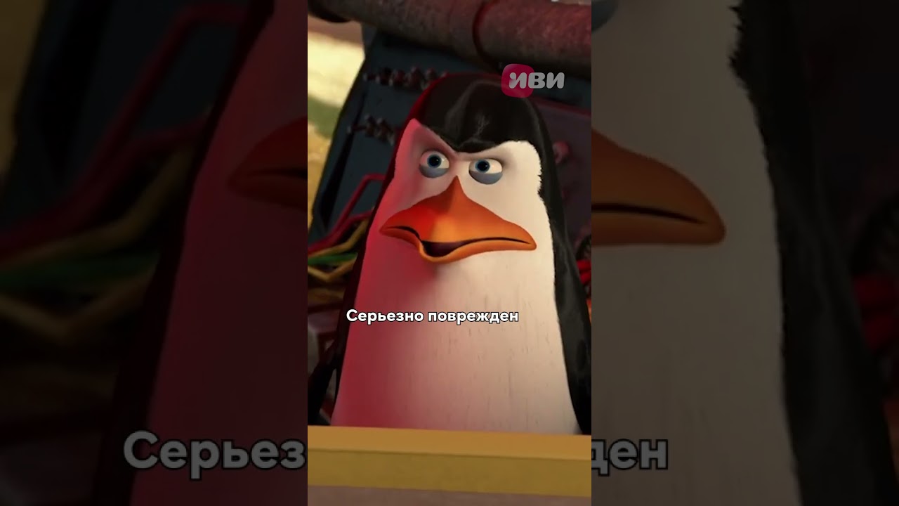 Ох уж эти пингвины из Мадагаскара 🤣 #shorts
