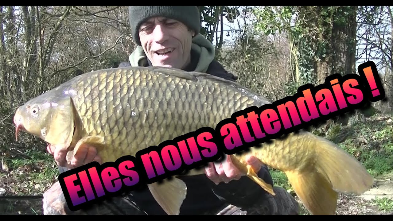 Pêche rapide en bord de Sèvre : Elle nous attendait !