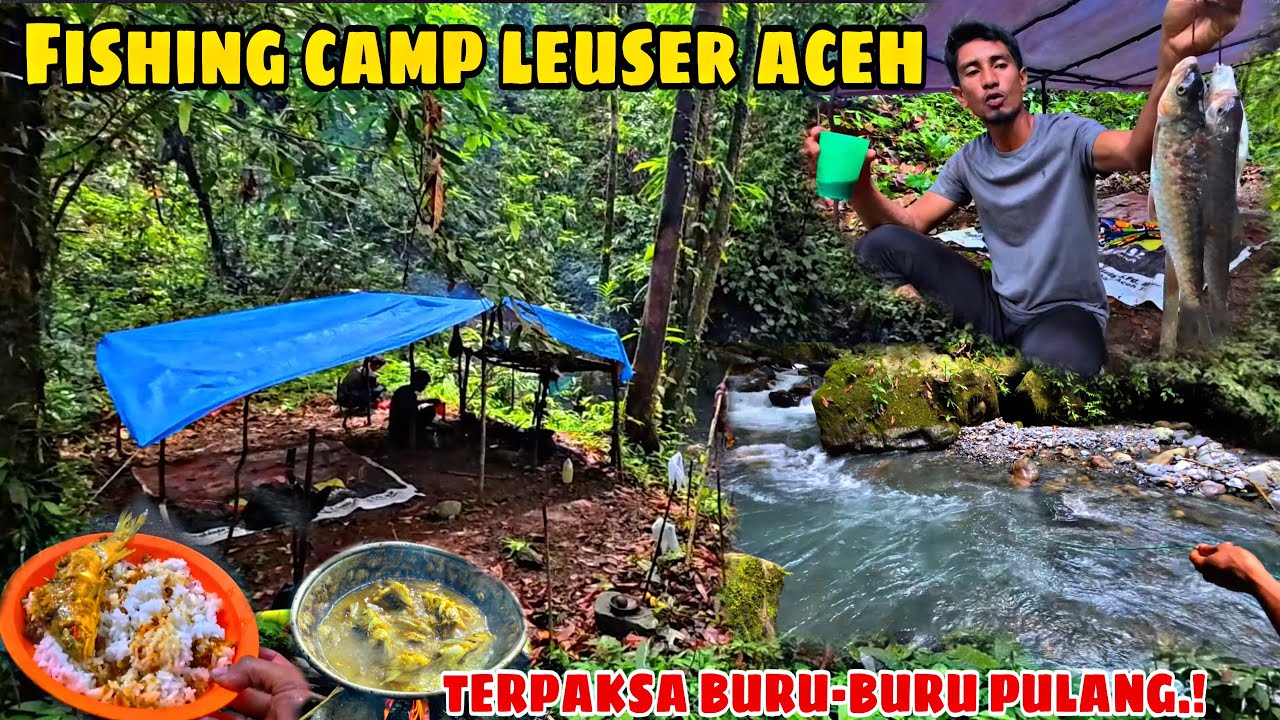FISHING CAMP MENCARI IKAN DI HUTAN LEUSER ACEH, BERPETUALANG DAN MENELUSURI SUNGAI DI HUTAN.. 