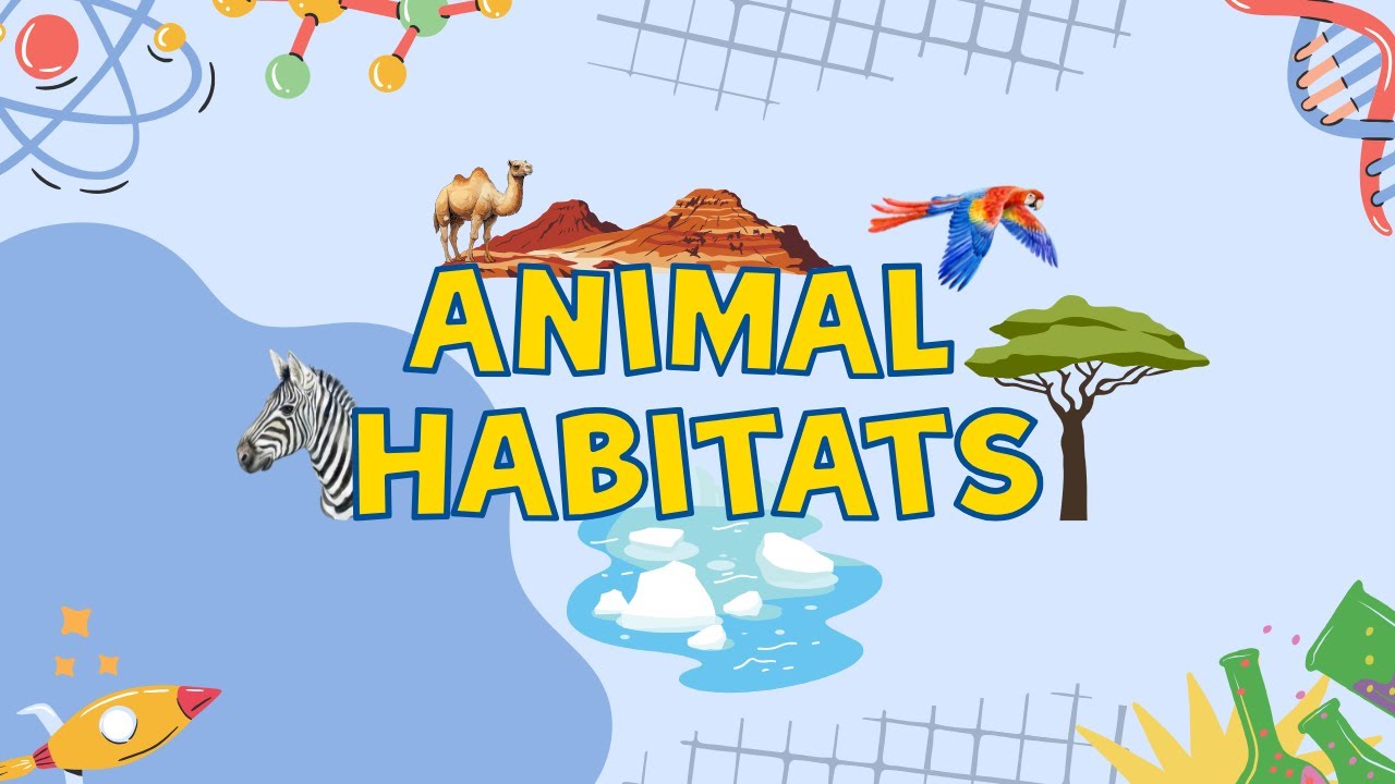 Animal Habitats | Where do Animals Live | STEM-Videos for Grade 1 Kids