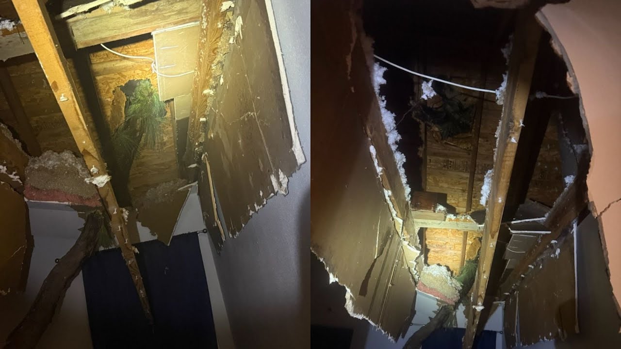 Fuertes tormentas en el área de Houston dejan a miles de personas sin electricidad
