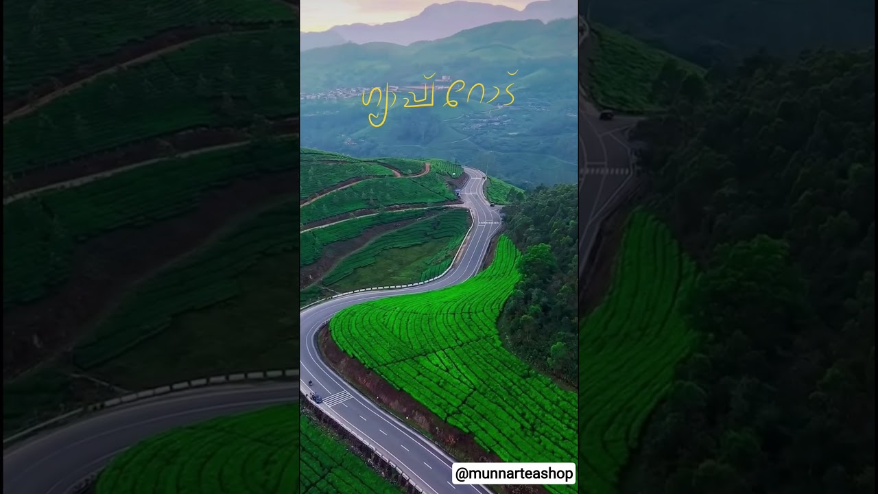 📍Gap Road | Munnar🍃🌱 Gap Road - where every turn is a visual treat ❣️✨ #munnar #nature #travel
