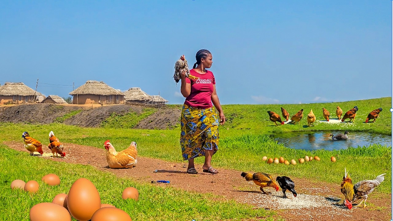 African village life #cooking village food for Breakfast  |  Most Delicious  Organic  Rural Food