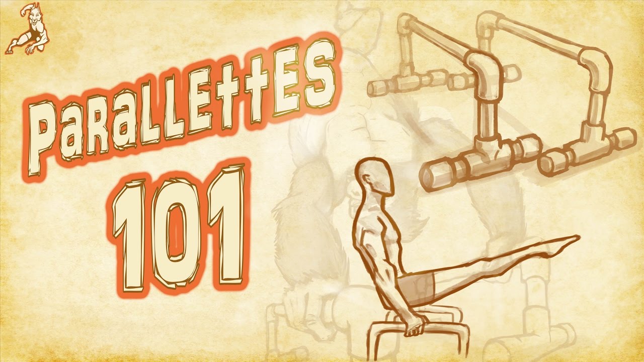 Parallettes Training 101