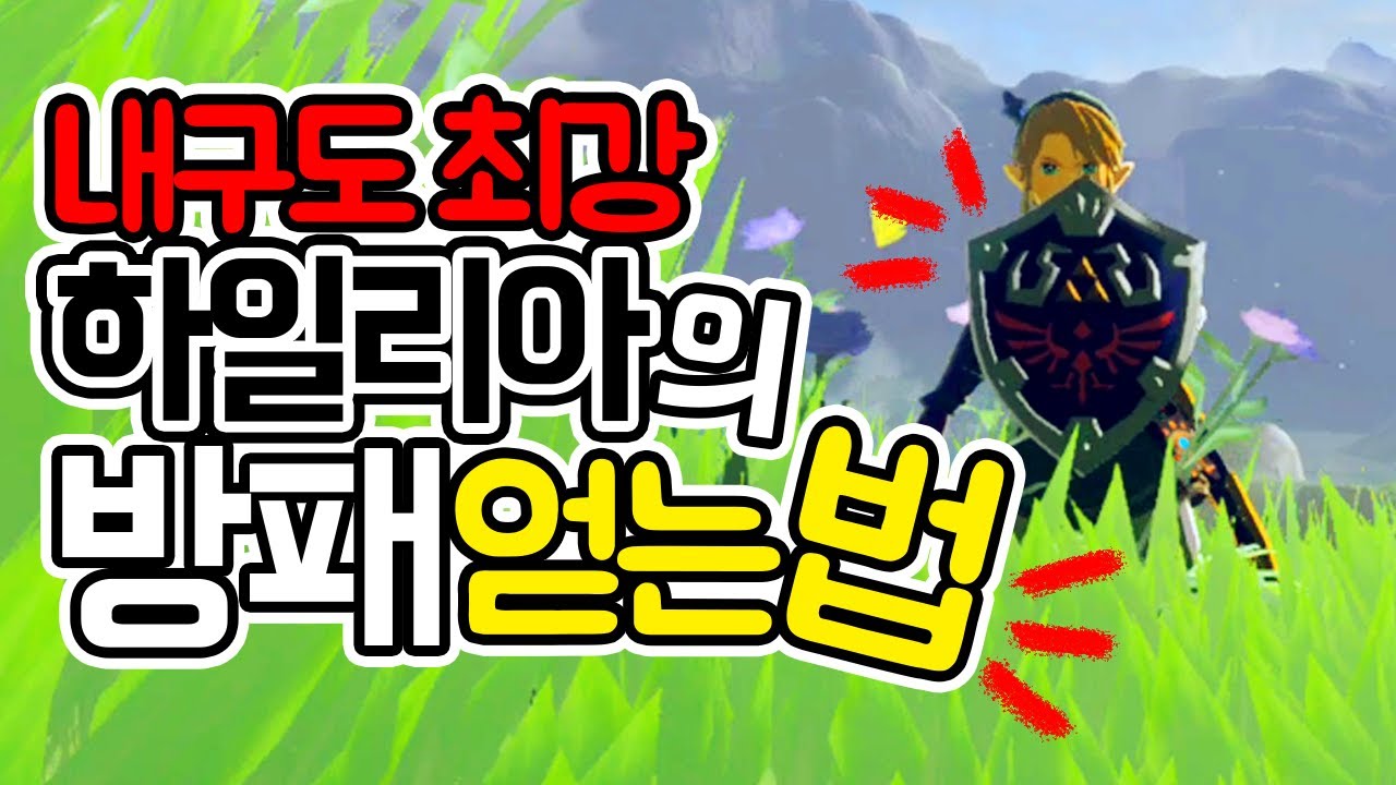 하일리아의 방패 얻는 법! ~ 젤다의 전설 브레스 오브 더 와일드 야생의 숨결 공략 The Legend of Zelda Breath of the Wild