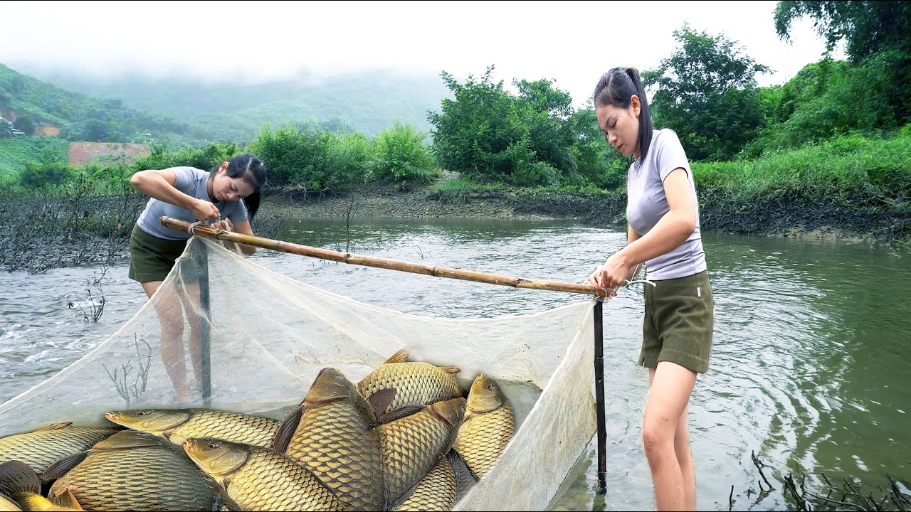 Fish trapping technique, the girl used a net to block the stream and caught many big carp