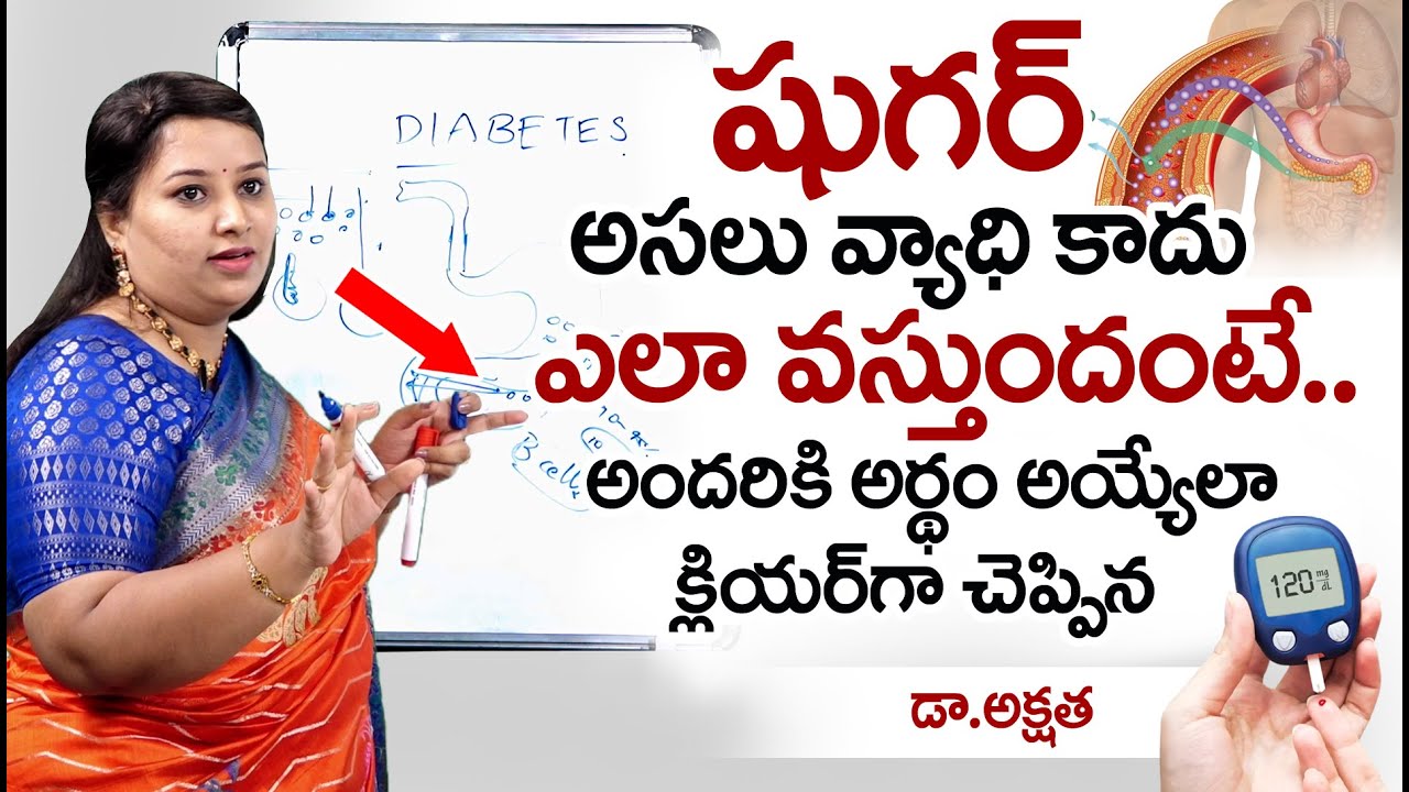 షుగర్ అసలు ఎందుకు వస్తుంది | Control Diabetes in Telugu | Dr Akshatha | Diabetes Telugu | PlayEven
