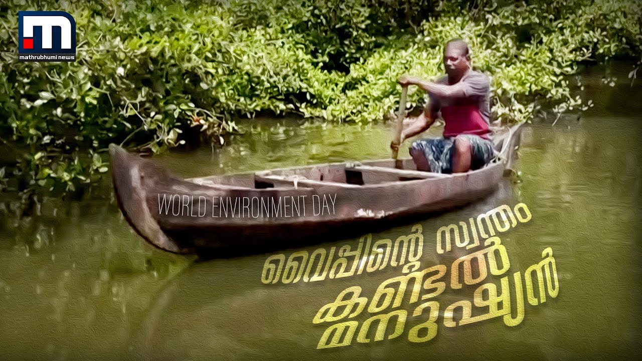 പത്ത് വർഷം, പതിനായിരക്കണക്കിന് കണ്ടലുകൾ; വൈപ്പിന്റെ സ്വന്തം കണ്ടൽ മനുഷ്യൻ | Mangrove Forest