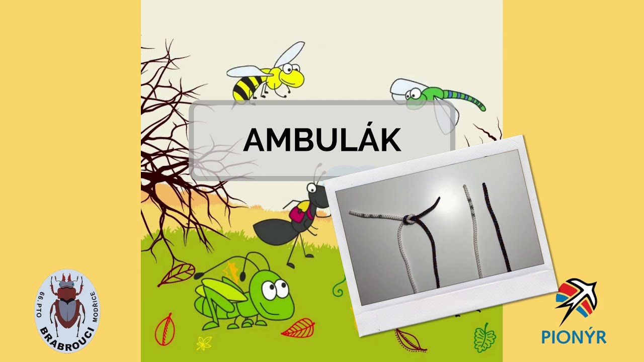 Plochá spojka (Ambulák)