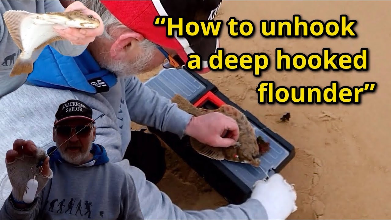 How to unhook a deep hooked flounder: Fishing tips: Fish care: Flatfish