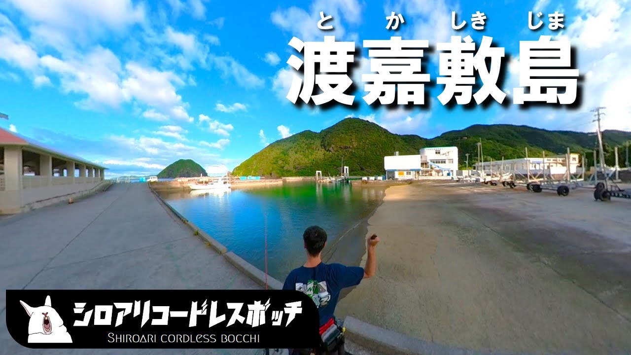 渡嘉敷島の渡嘉敷港で４種８匹釣りました
