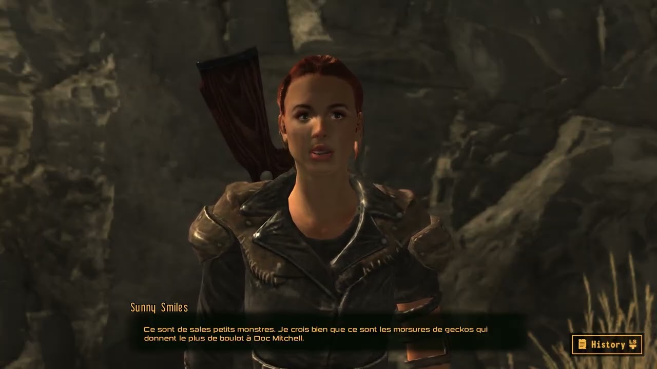 Fallout  New Vegas   29/01/2026
