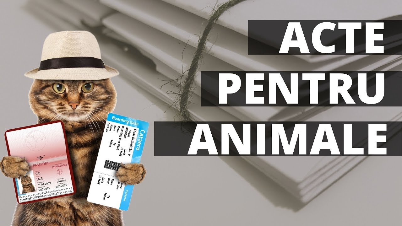Ce acte, cum se fac şi cât timp durează perfectarea documentelor de călătorie pentru animale