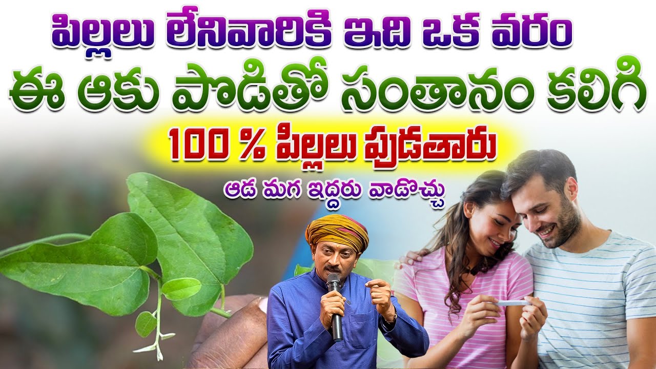 ఈ ఆకు పొడితో 100 % పిల్లలు పుడతారు ఆడ మగ ఇద్దరు వాడొచ్చు | Dr.Ravivarma | AYUR MAANTRA