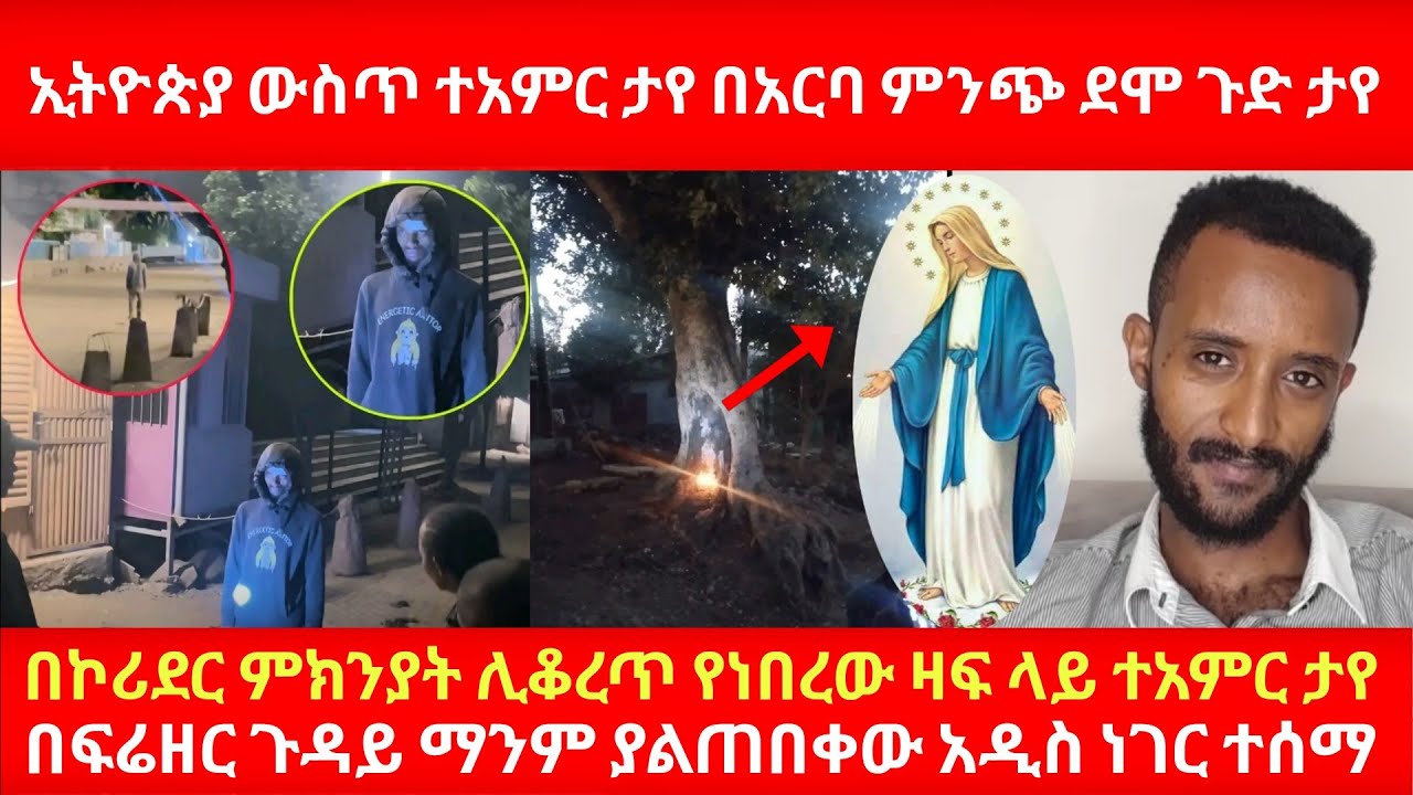 ኢትዮጵያ ውስጥ የኪዳነ ምህረት ተአምር ታየ በአርባ ምንጭ ደሞ ጉድ ታየ በኮሪደር ምክንያት ሊቆረጥ የነበረው ዛፍ ላይ ተአምር ታየ በፍሬዘር ዙሪያ አዲስ ነገር