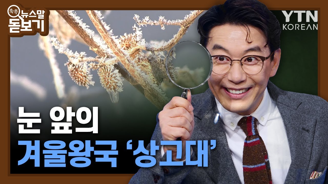 눈 앞의 겨울왕국 '상고대' [쏙쏙 뉴스말 돋보기] / YTN KOREAN