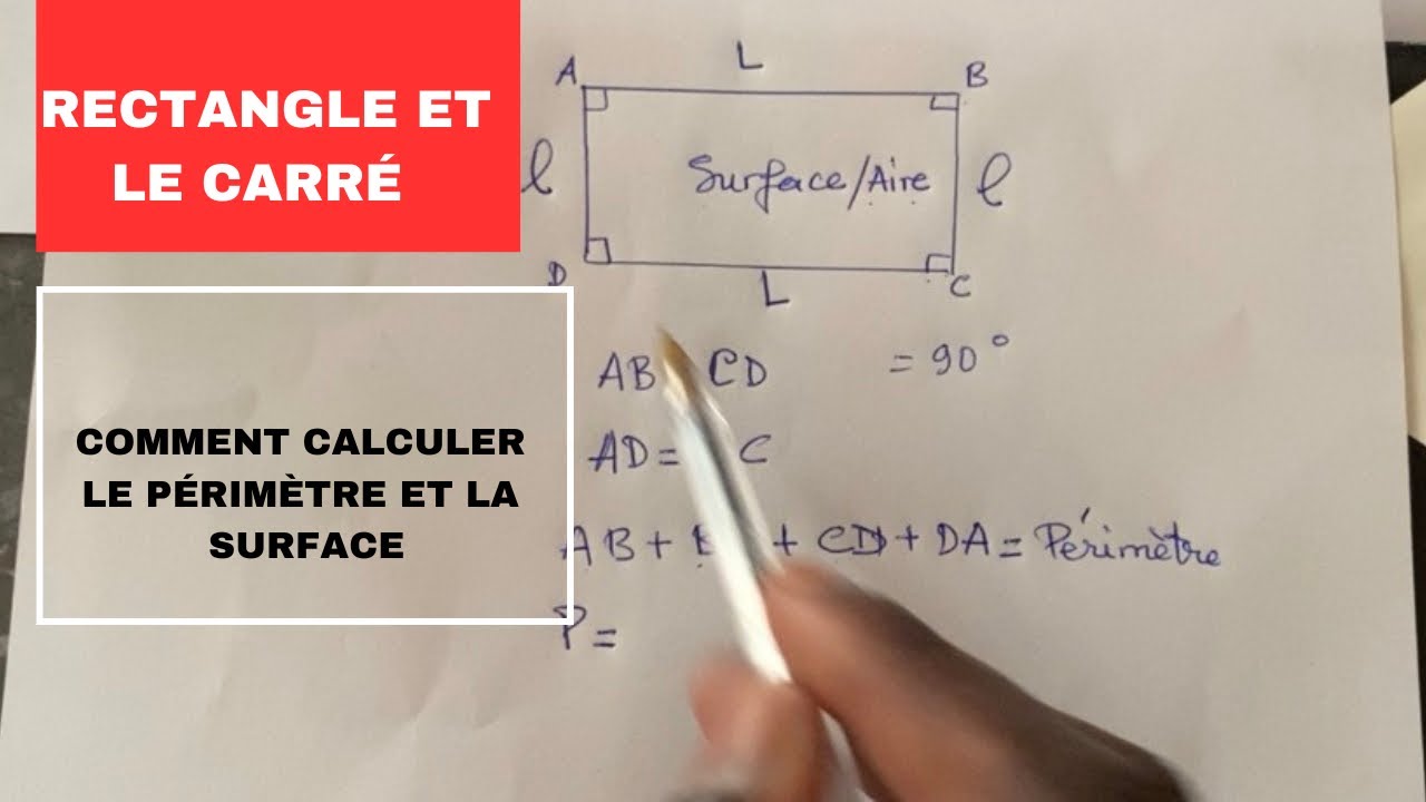 Comment calculer le périmètre et la surface d’un rectangle et d’un carré ? #education #maths 