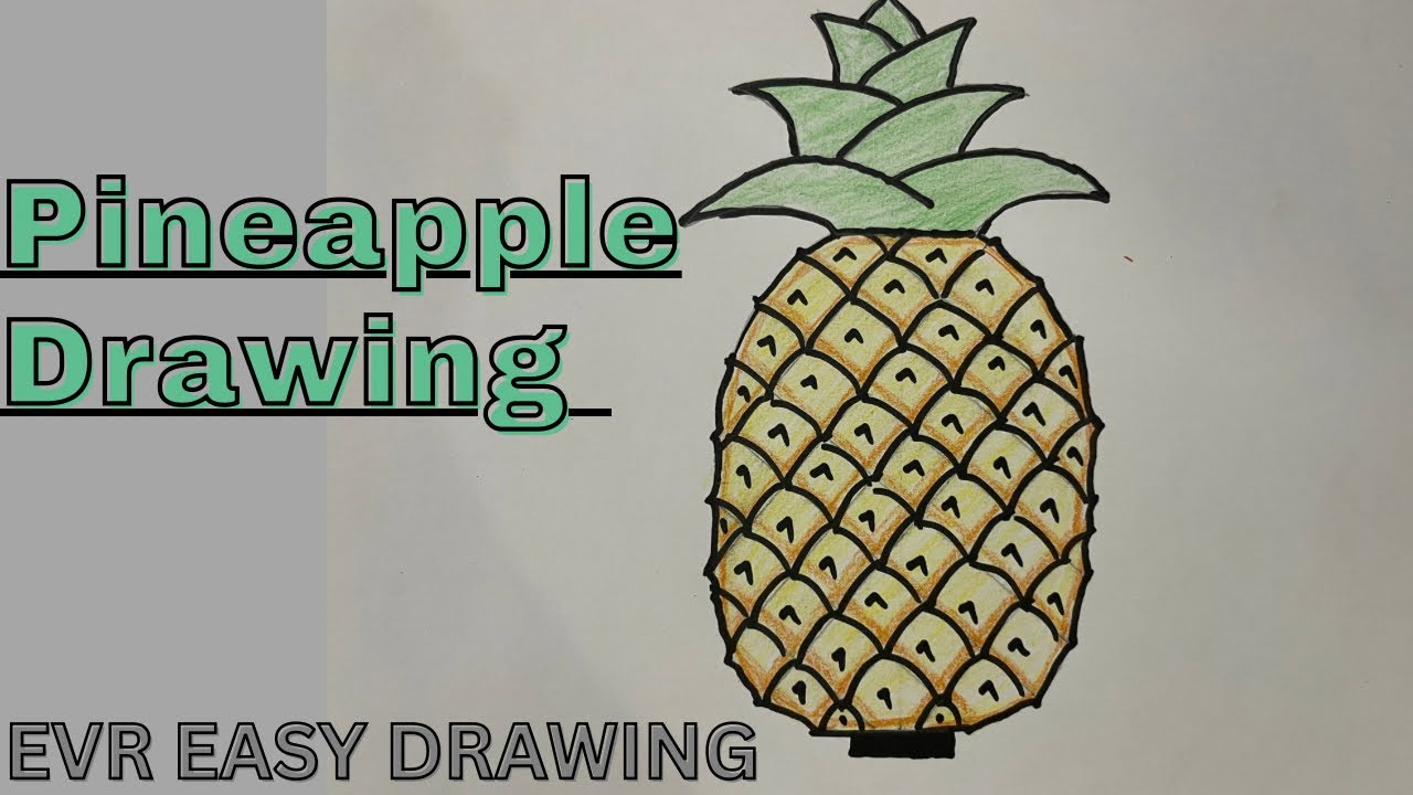 How to draw a pineapple easy /Pineapple drawing step by step for learner’s /kids @EVR Easy Drawing 