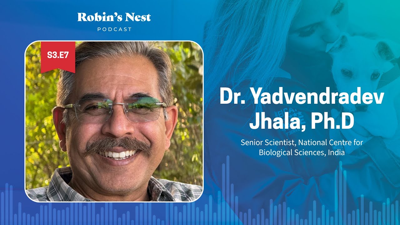 Bringing Wildlife Back: Dr. Jhala’s Mission to Restore India’s Endangered Species