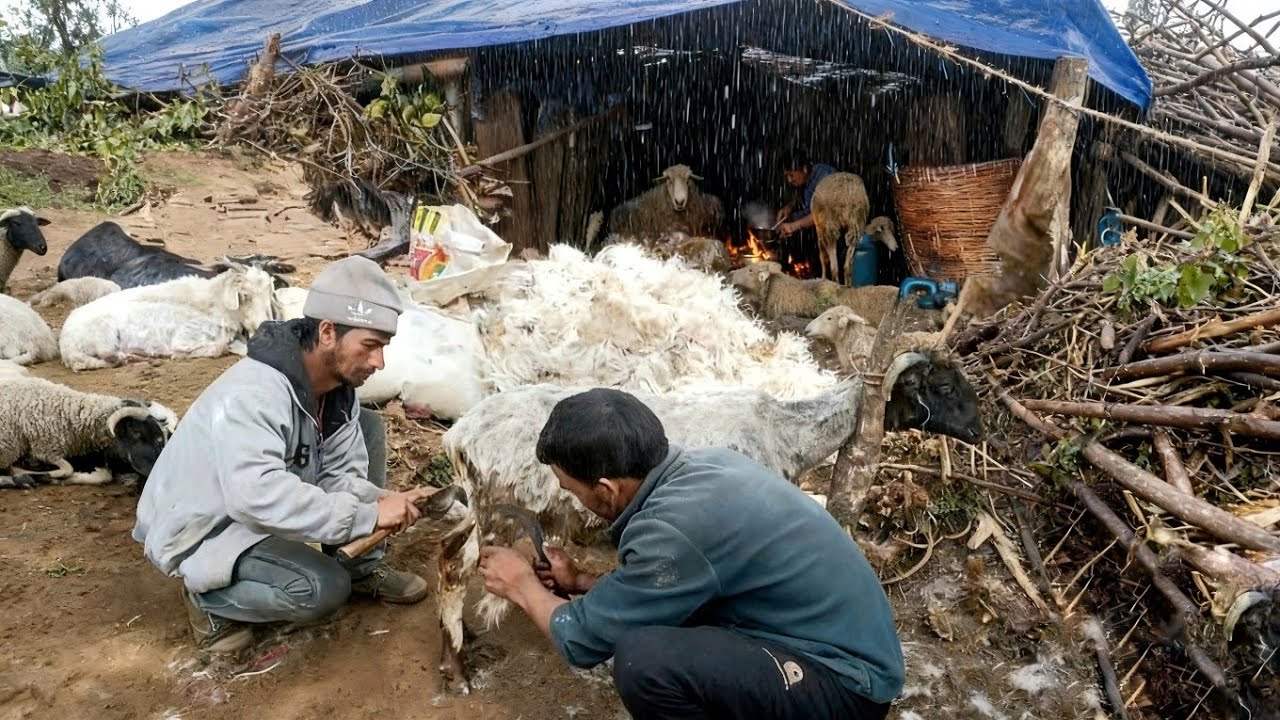 Happy Himalayan Life | Rainy Day Cooking | Hard Work but Peaceful Mountain Living life 