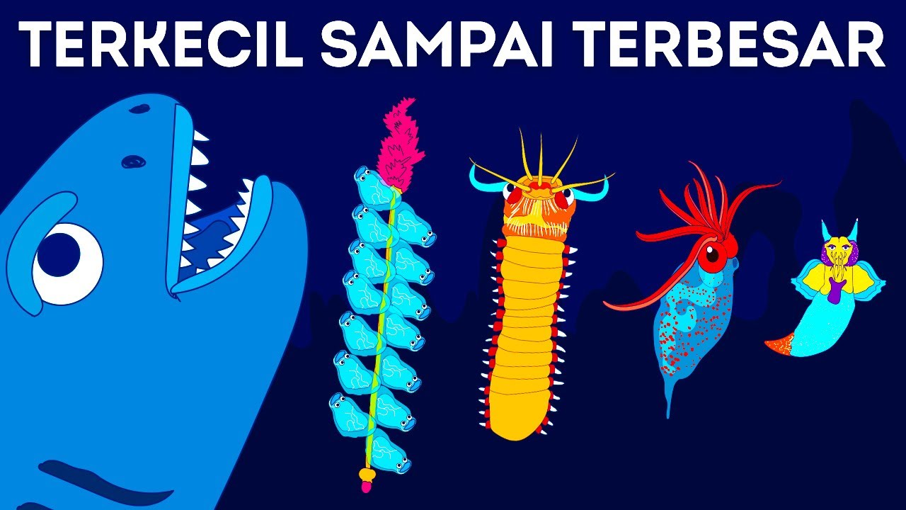 50+ Makhluk Ini Membuktikan Kita Tidak Tahu Apa-Apa  tentang Lautan