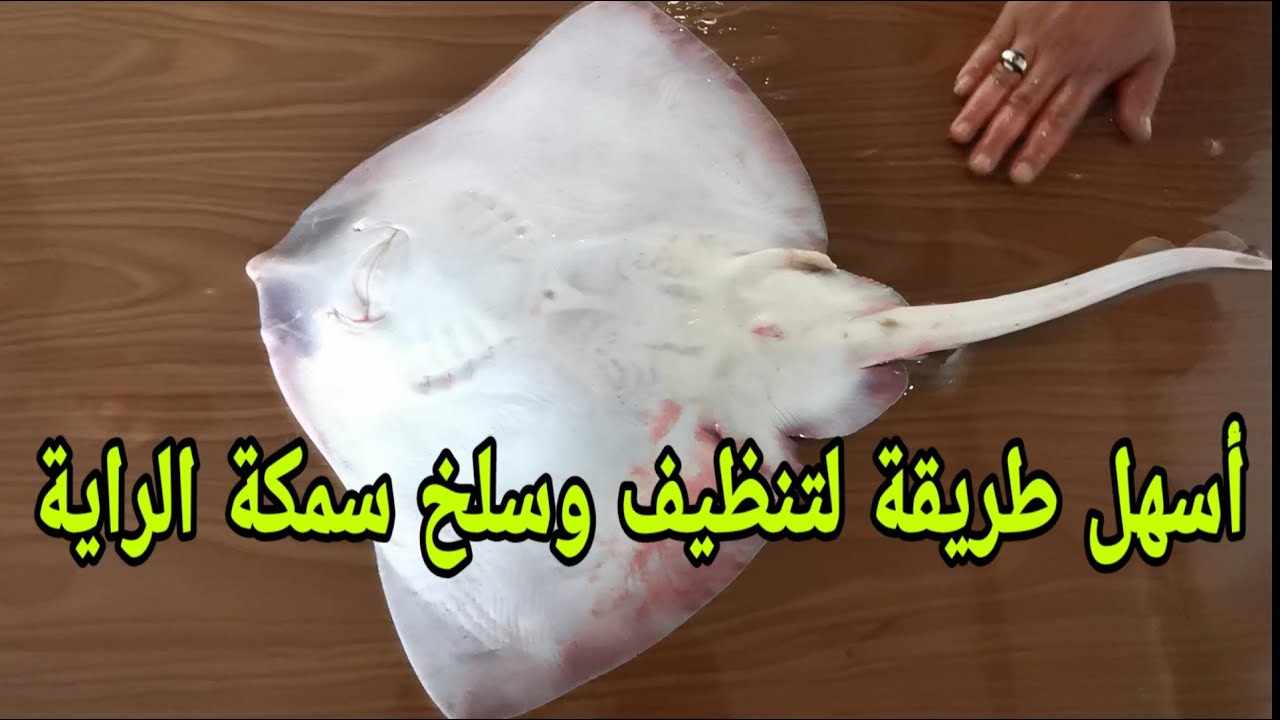 طريقة تنظيف وسلخ سمك الراية