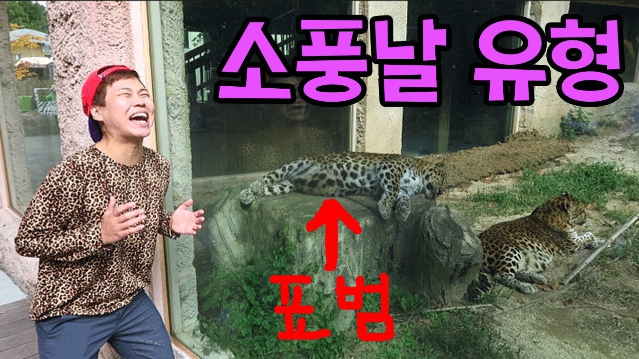 학교에서 소풍가는 유형! ㅋㅋㅋ
