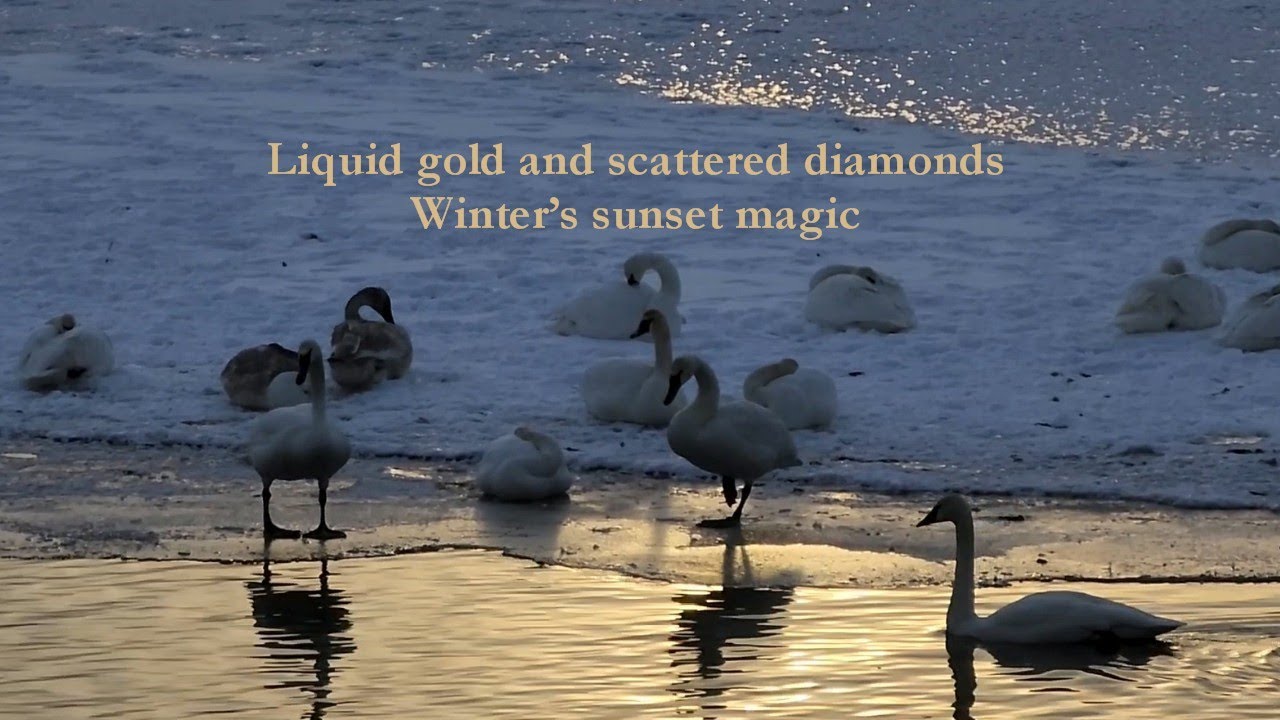 Liquid gold and scattered diamonds. Winter&rsquo;s sunset magic