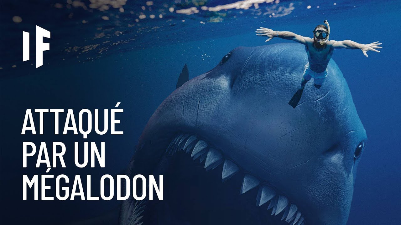 Et si un Mégalodon vous attaquait ?