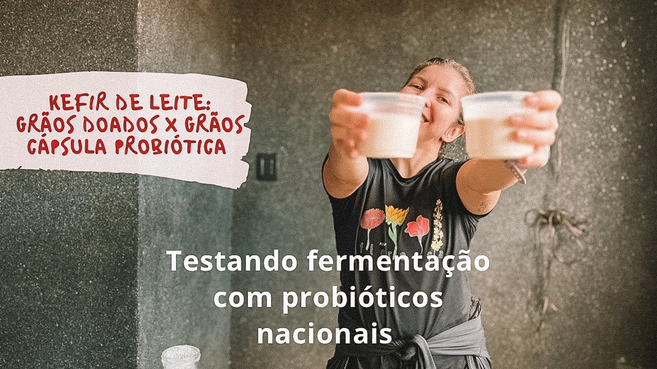 Kefir de Leite: grãos doados x sachês probióticos.(Testando probióticos nacionais)