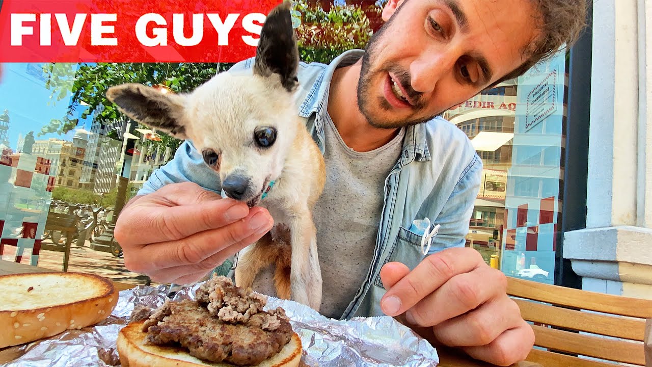 Llevamos a una Chihuahua hambrienta a comerse una hamburguesa gigante…