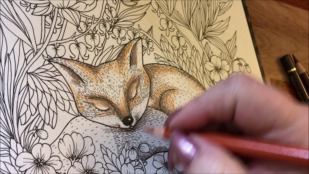 Adult Coloring -Twilight Garden  Sleeping Fox