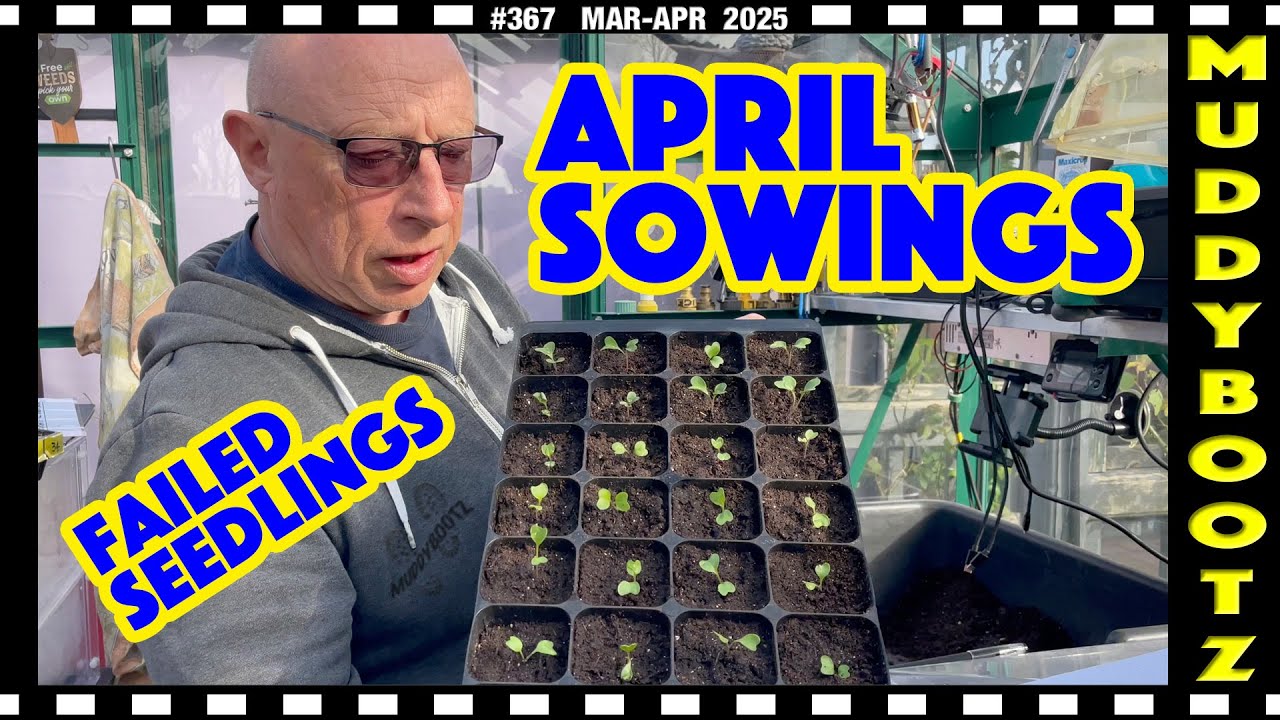 🌻367 🌻 WHAT SEEDS TO SOW IN APRIL 🌻 FAILED SEEDLINGS 🌻