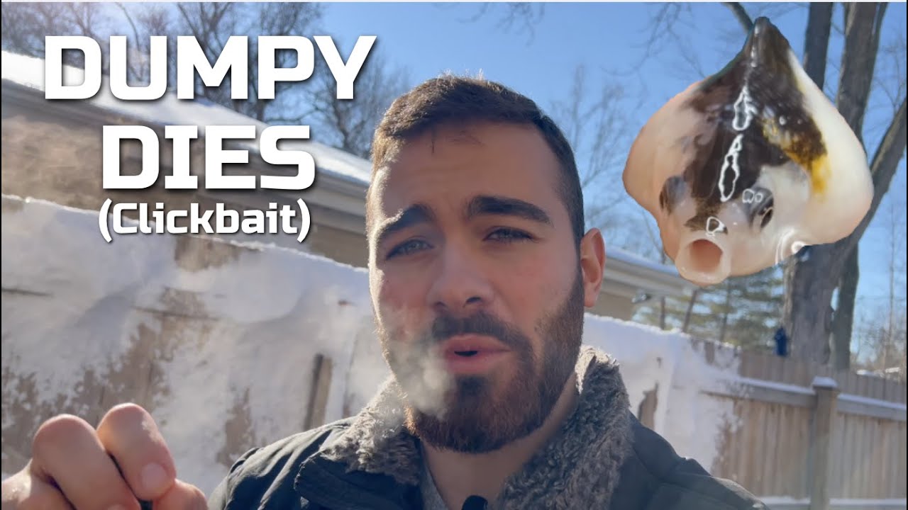 My First Vlog! - LIL DUMPY DIES  (Absolute Clickbait)