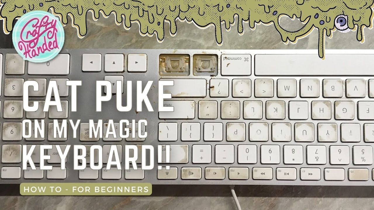 How to clean the old Apple Magic Keyboard from liquids - (Model No. A1243)