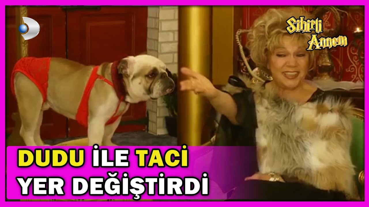 Dudu ile Taci YER DEĞİŞTİRDİ! - Sihirli Annem Özel Klip