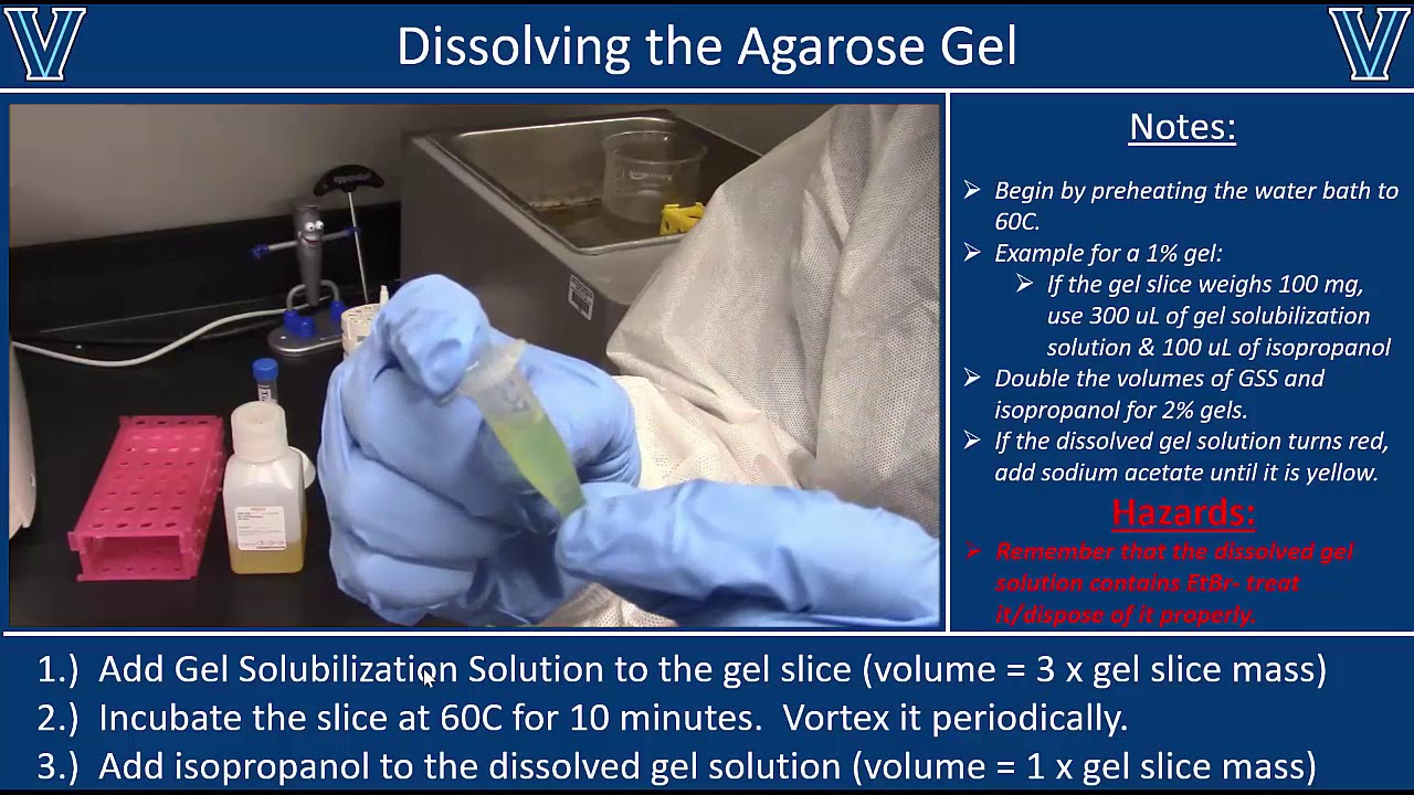 Agarose Gel Extraction